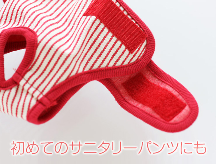 犬と生活 ストライプサニタリーパンツ