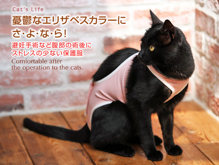 猫の暮らし 術後ガードスーツキャット