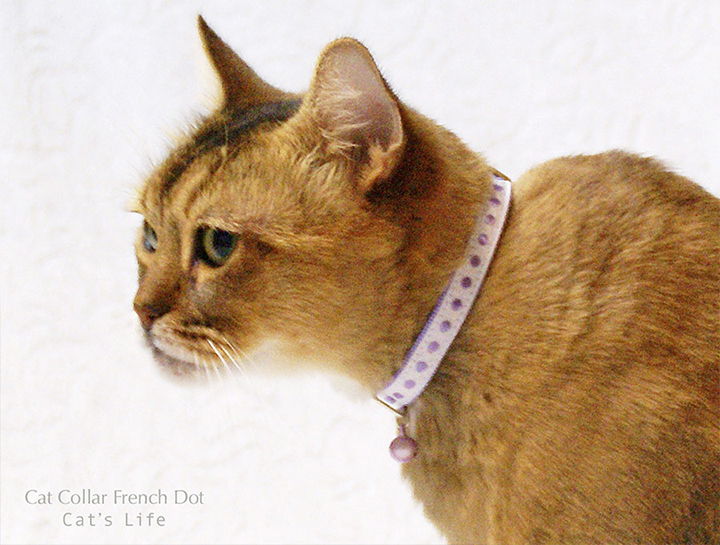 猫の暮らし キャットカラー フレンチドット 首輪