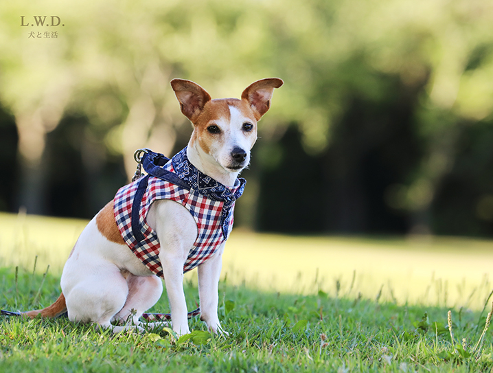 犬と生活 ボディハーネス トリコチェック 【ハーネス,ベスト型,可愛い】