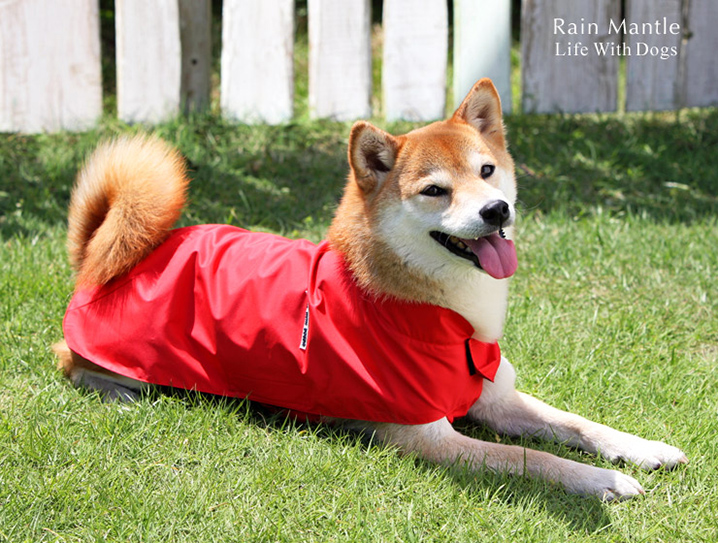 犬と生活 レインマント 柴犬 中型犬 レインコート