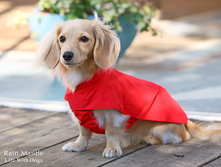 犬と生活 レインマント ダックス レインコート