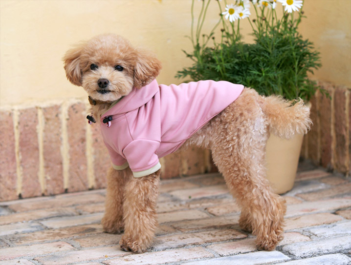 犬と生活 Rパーカー レインコートなら犬と生活 犬と生活 Rパーカー レインコートなら犬と生活 小型犬~中型犬・柴犬