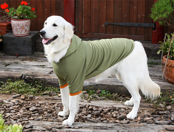 犬と生活 Rパーカー