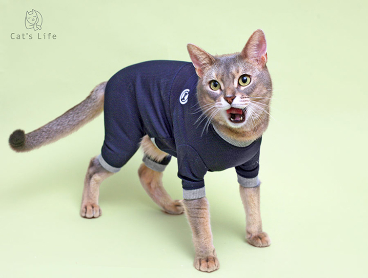 猫の暮らし バグガードスーツ キャット 【猫服,ウェア,つなぎ】