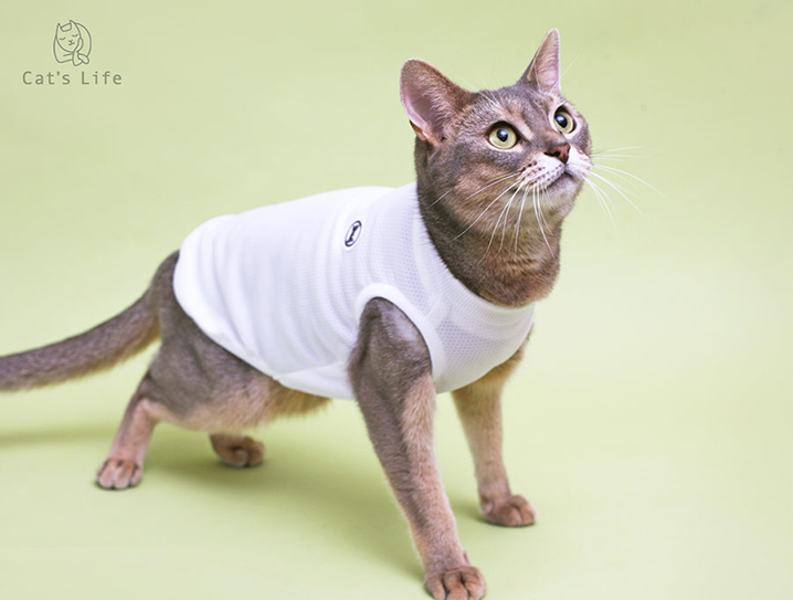 猫の暮らし バグガードタンク キャット 【猫服,ウェア】