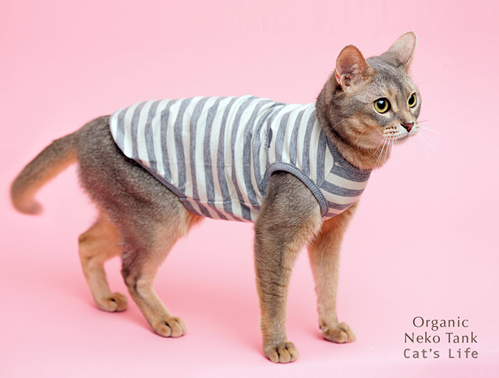 猫の暮らし オーガニックネコタンク 猫服