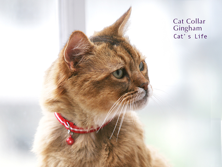 猫の暮らし　キャットカラー　ギンガム　首輪