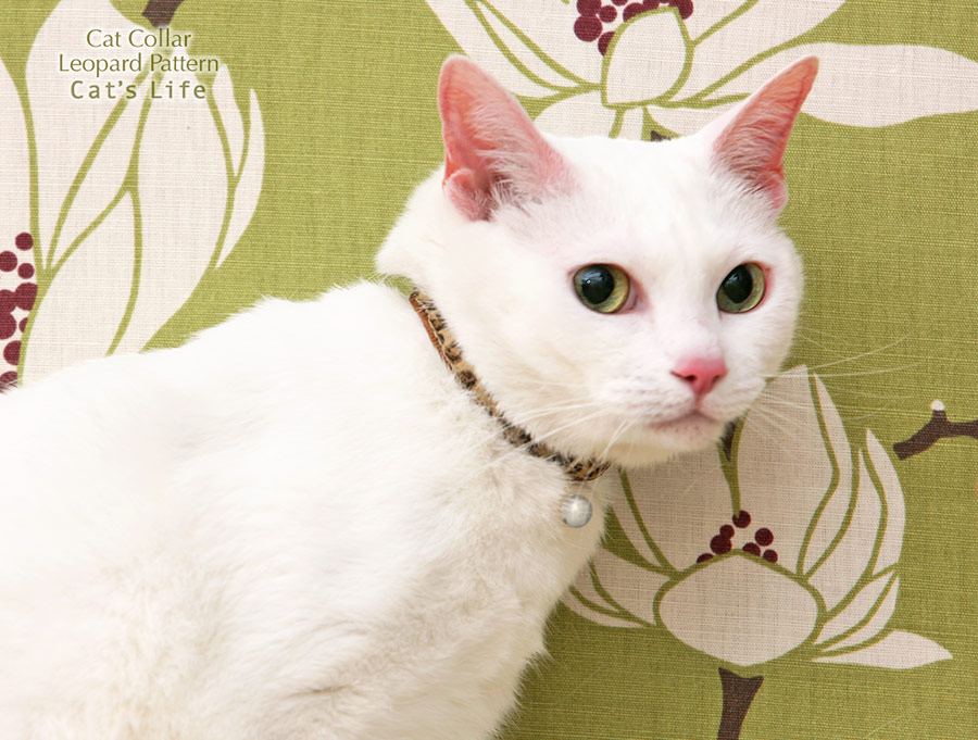 猫の暮らし キャットカラー ヒョウ 首輪