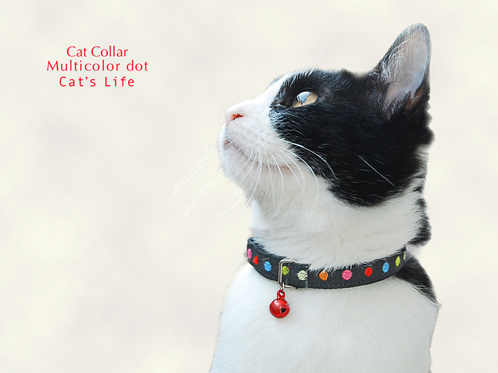 猫の暮らし　キャットカラー　マルチカラードット　首輪