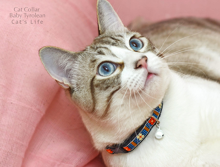 猫の暮らし キャットカラー タイルフラワー 首輪
