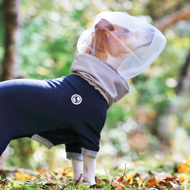 犬と生活 バグガードｔシャツ 防虫