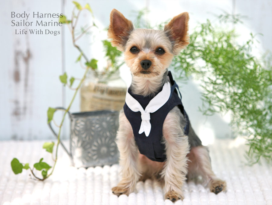 犬と生活 ボディーハーネス セーラーマリン 暑さ対策に保冷剤入りハーネス